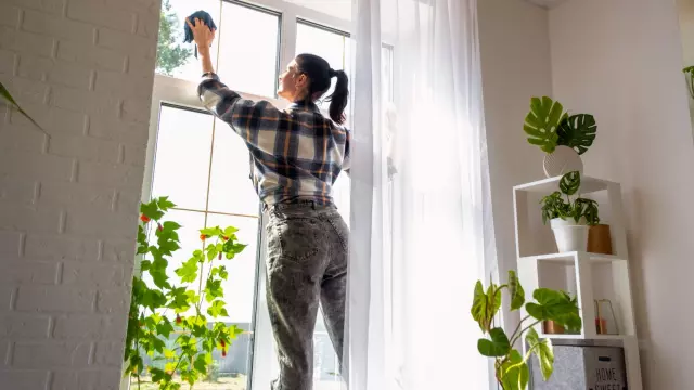 Can't Get Rid of Fall Mold? Stop Making These 3 Common Cleaning Mistakes