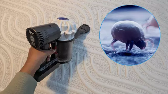 Stop Dust Mites: The 2-Inch Mattress Cleaning Trick You Need This Autumn