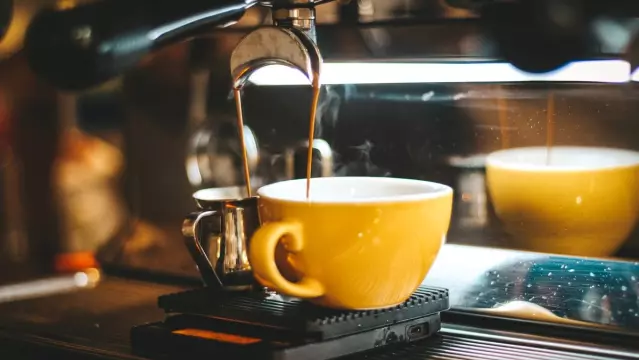 International Coffee Day: Celebrating Our Favorite Brew with Expert Insights