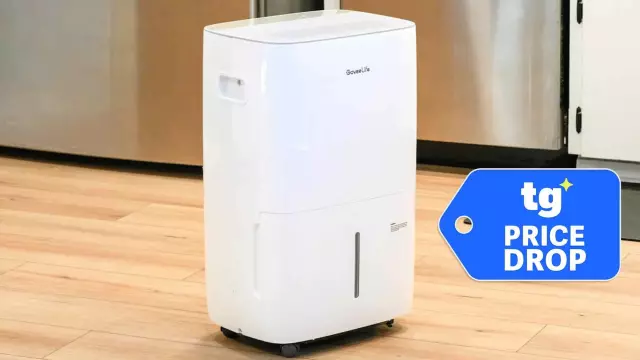5 Best Dehumidifier Deals to Dry Out After a Storm — Up to 20% Off Top Picks