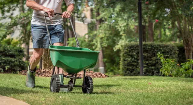 The Secret to Stopping Weeds Next Spring: Apply This Simple Barrier to Your Lawn Right Now