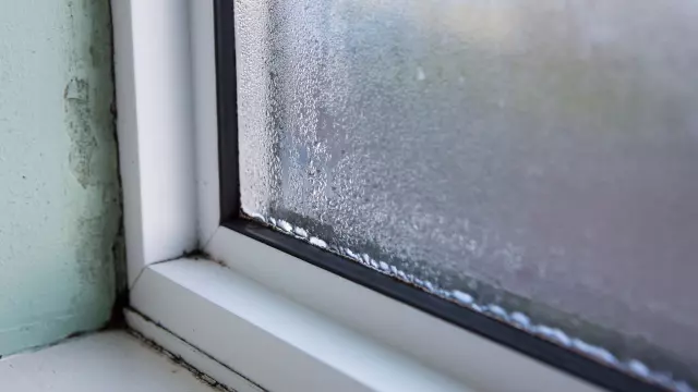 Think your home is safe from mold? These routine fall habits could be inviting it inside