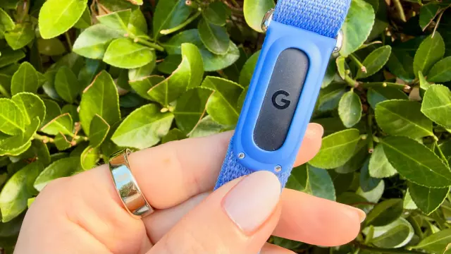 Fitbit Air vs Oura Ring 5: Which Screenless Tracker Reigns Supreme?