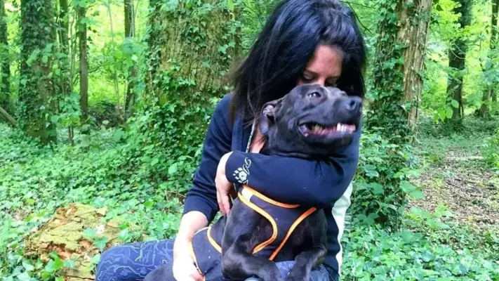 엘리사 필라르스키 사망 사건: 검찰의 권고에 따라 그녀의 반려견 커티스의 안락사를 막기 위한 청원이 시작되었습니다.